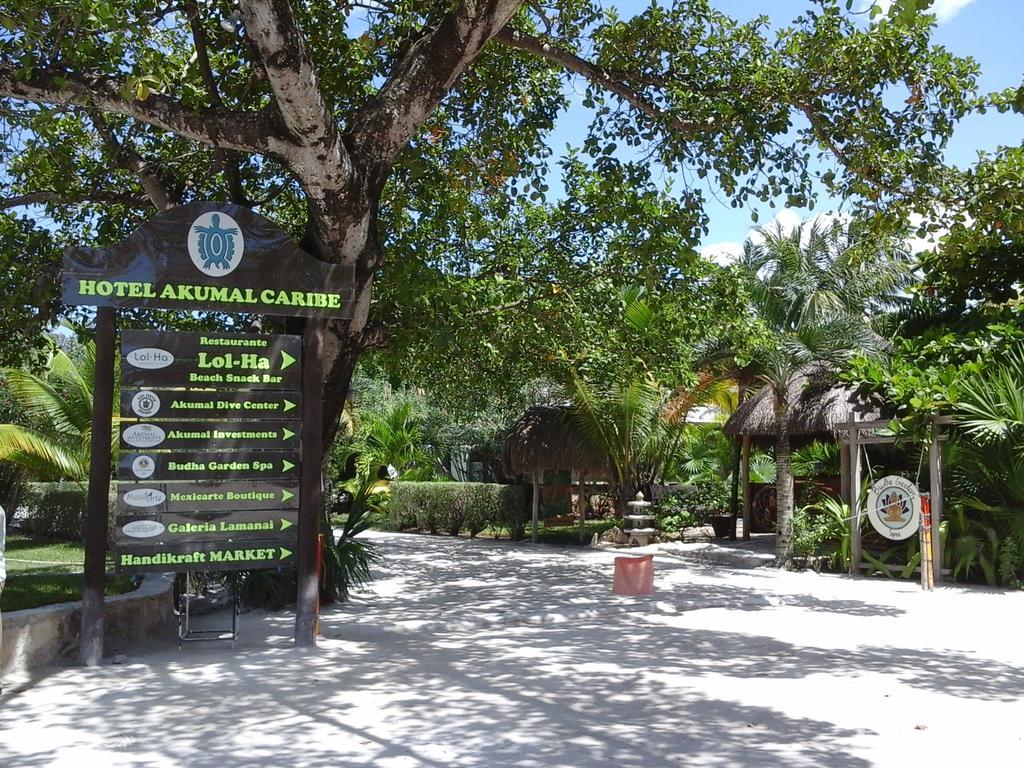 Hotel Club Akumal Caribe Luaran gambar